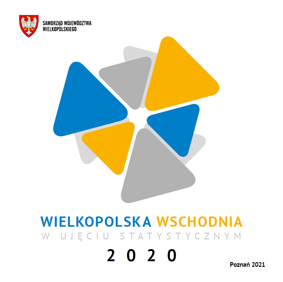 Grafika dekoracyjna - okładka publikacji. Tekst "Wielkopolska Wschodnia w ujęciu statystycznym 2020".